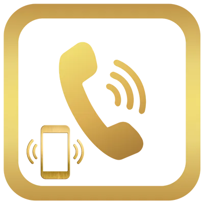 điện thoại Vx88